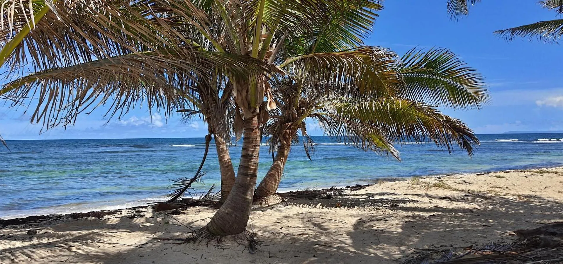 Holiday home Les Koki Villa Mojito Saint-Francois  Guadeloupe